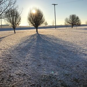 Meet your Posher, Jody